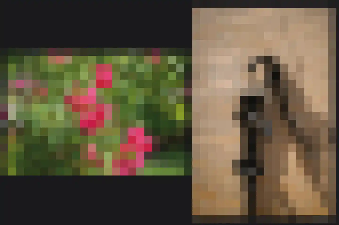 Kooimolenweg 21 Dreumel thumbnail 37