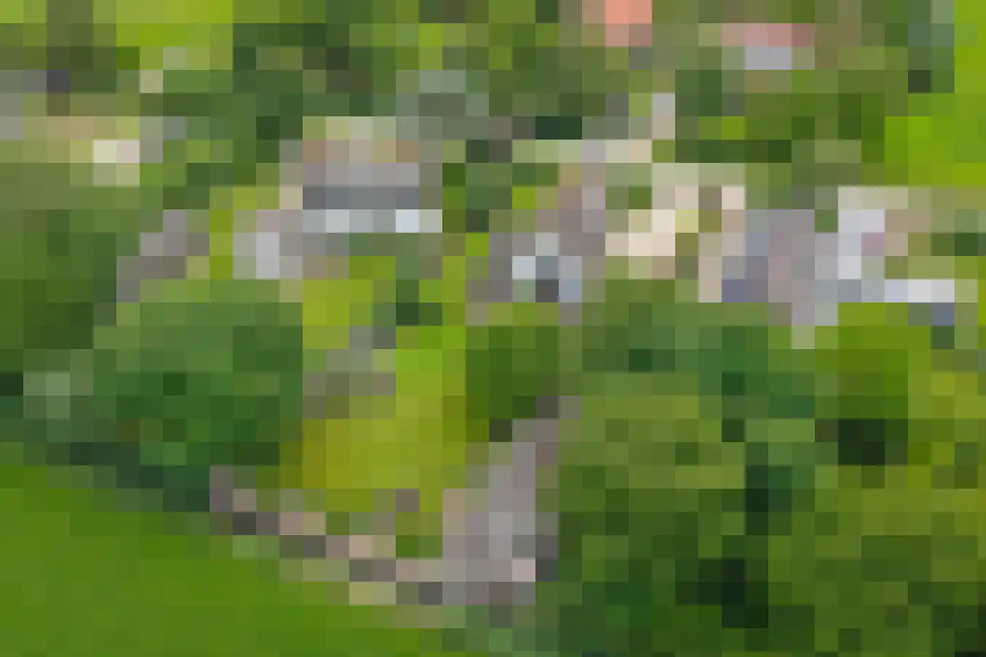 Kooimolenweg 21 Dreumel thumbnail 4
