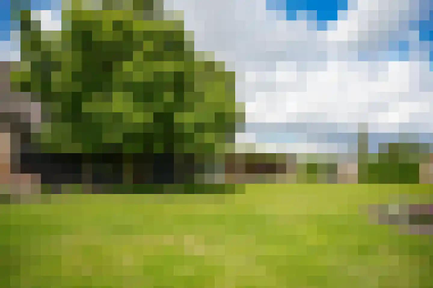 Kooimolenweg 21 Dreumel thumbnail 40