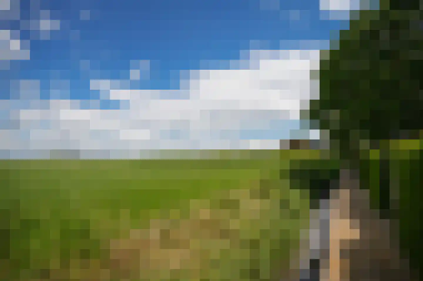 Kooimolenweg 21 Dreumel thumbnail 45