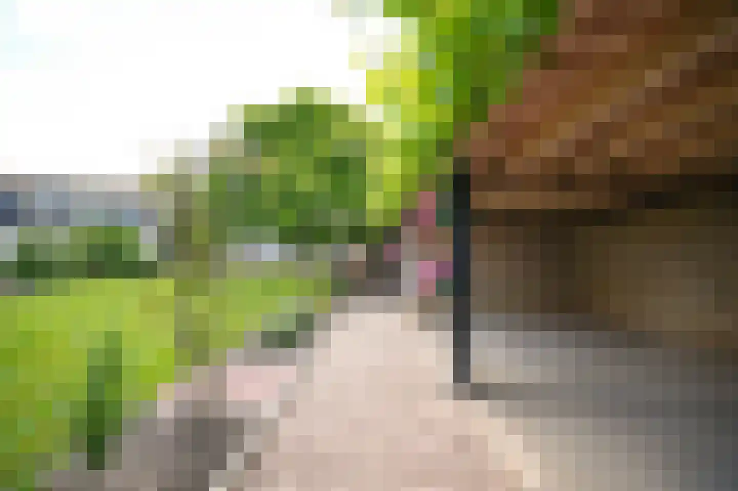 Kooimolenweg 21 Dreumel thumbnail 46