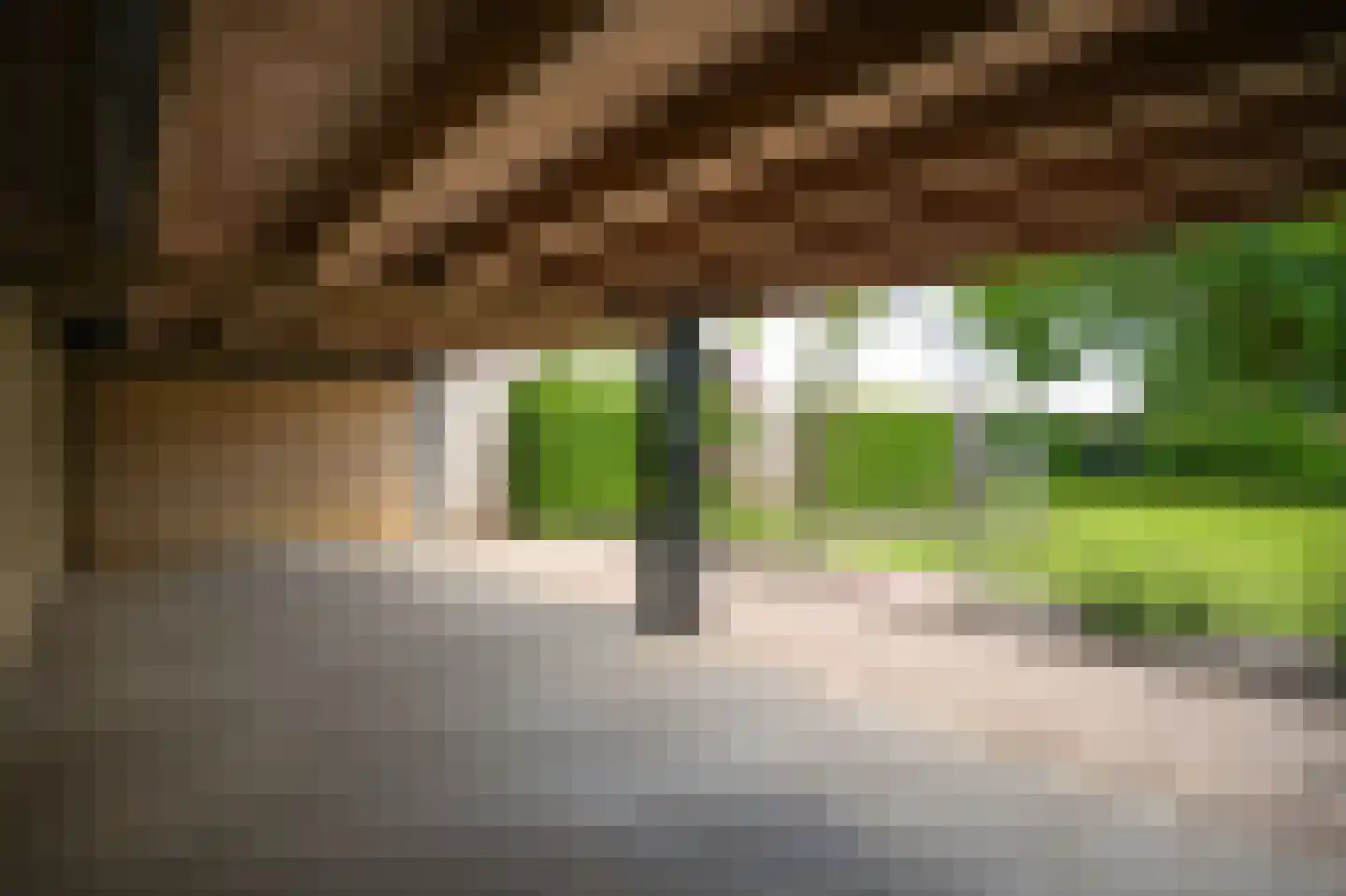 Kooimolenweg 21 Dreumel thumbnail 48