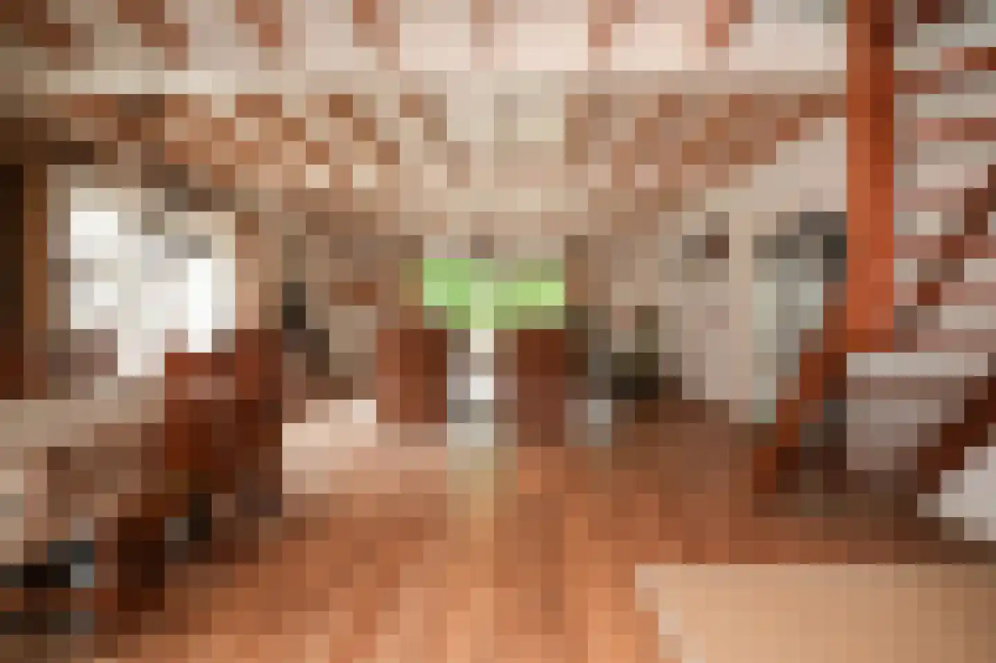 Kooimolenweg 21 Dreumel thumbnail 5