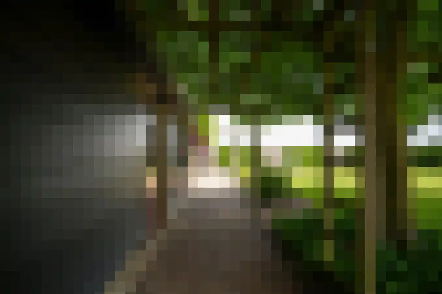 Kooimolenweg 21 Dreumel thumbnail 57