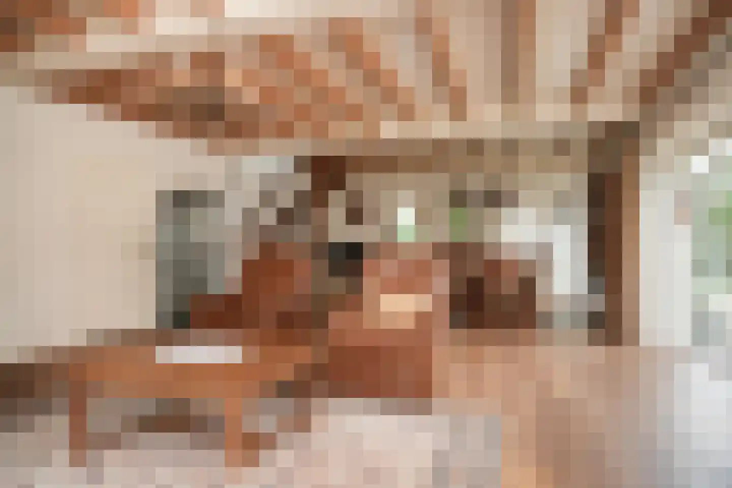 Kooimolenweg 21 Dreumel thumbnail 6