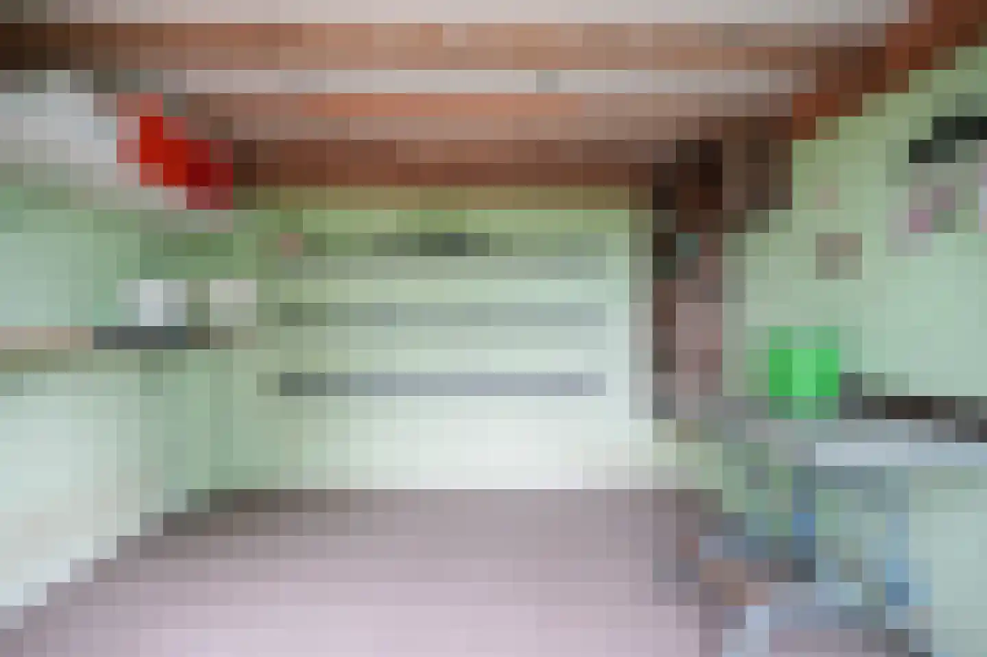 Kooimolenweg 21 Dreumel thumbnail 62