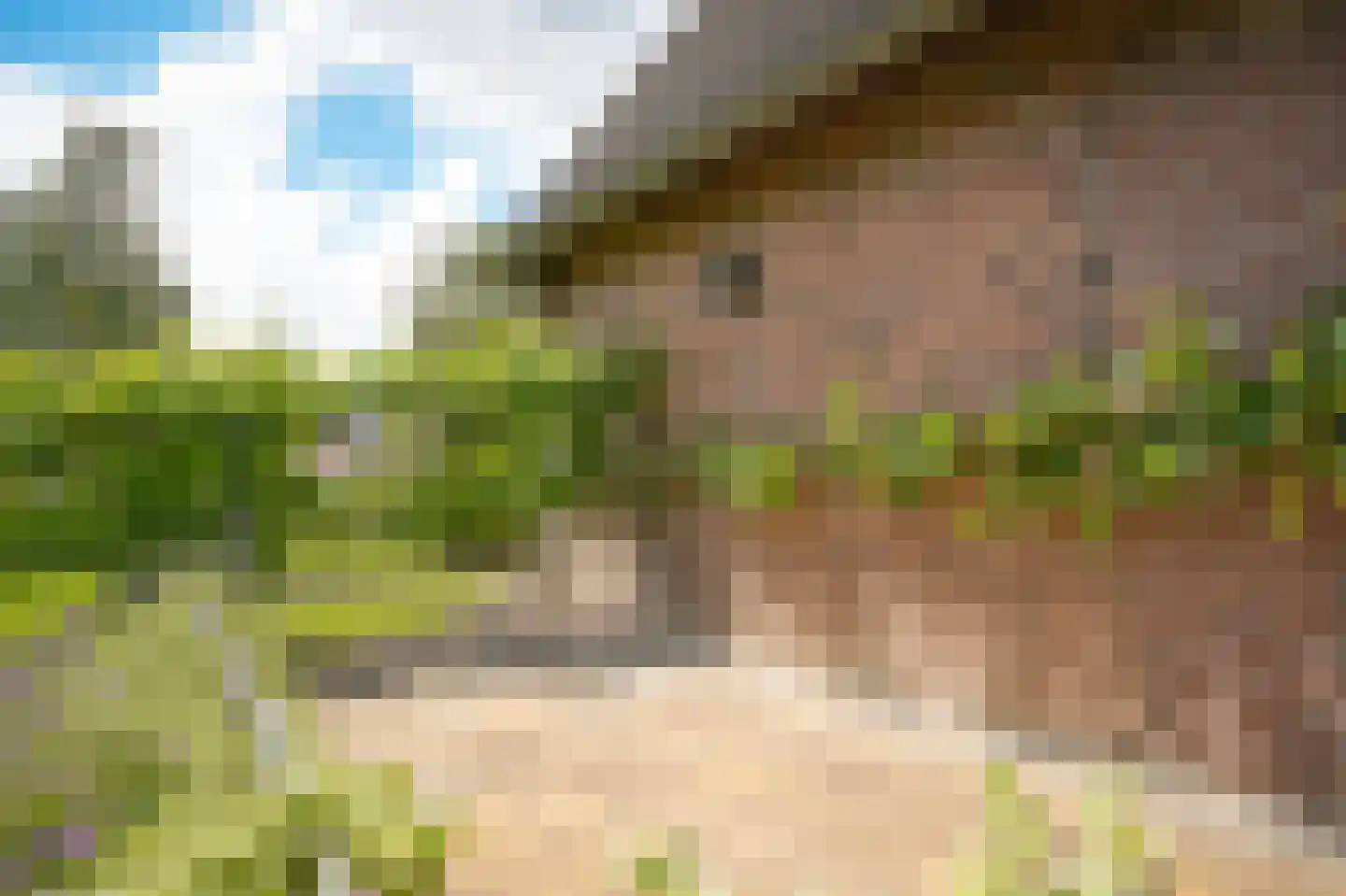 Kooimolenweg 21 Dreumel thumbnail 65