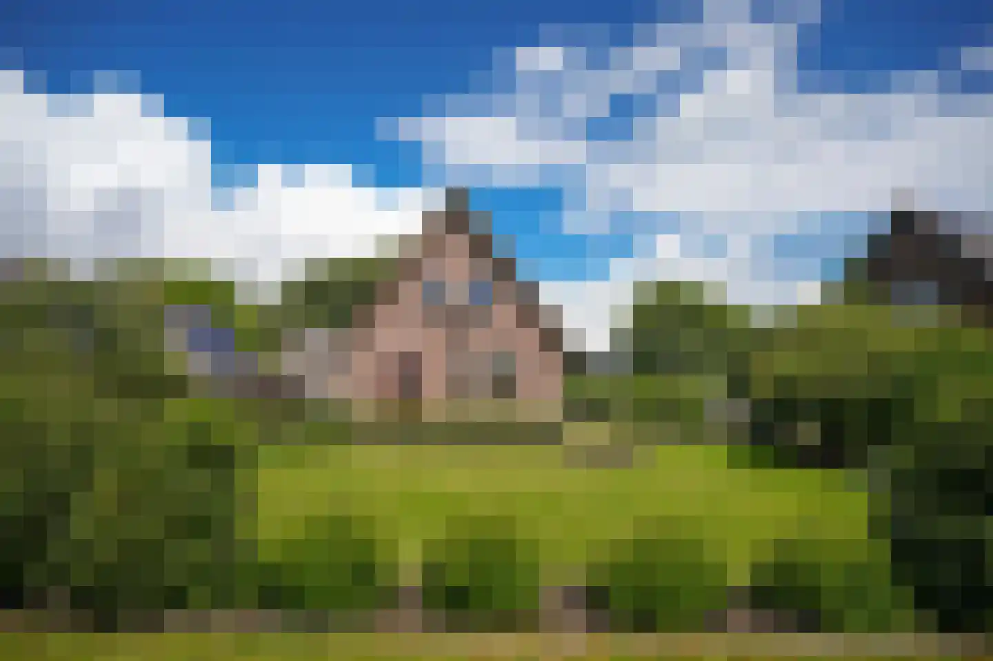 Kooimolenweg 21 Dreumel thumbnail 72