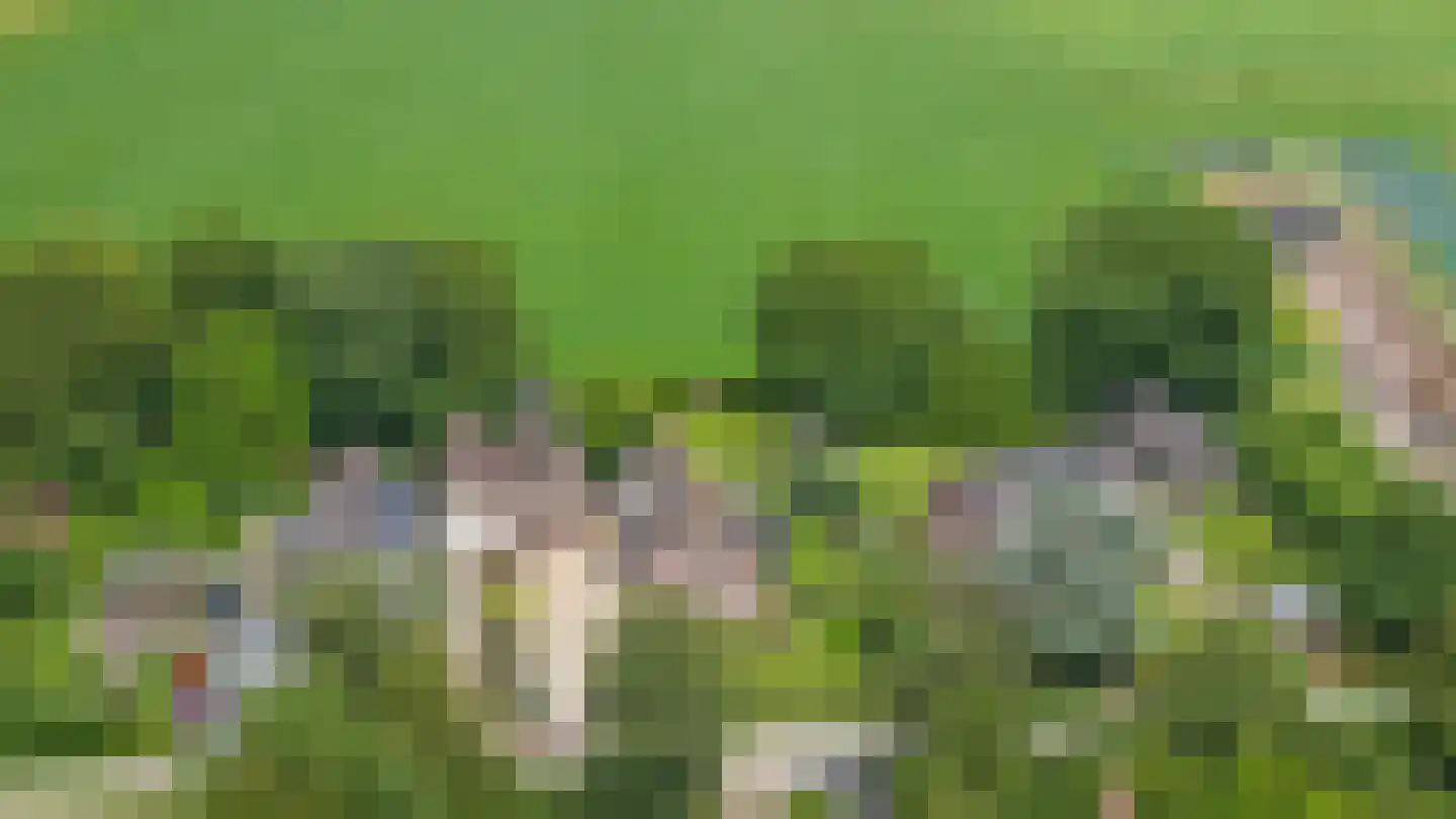 Kooimolenweg 21 Dreumel thumbnail 76
