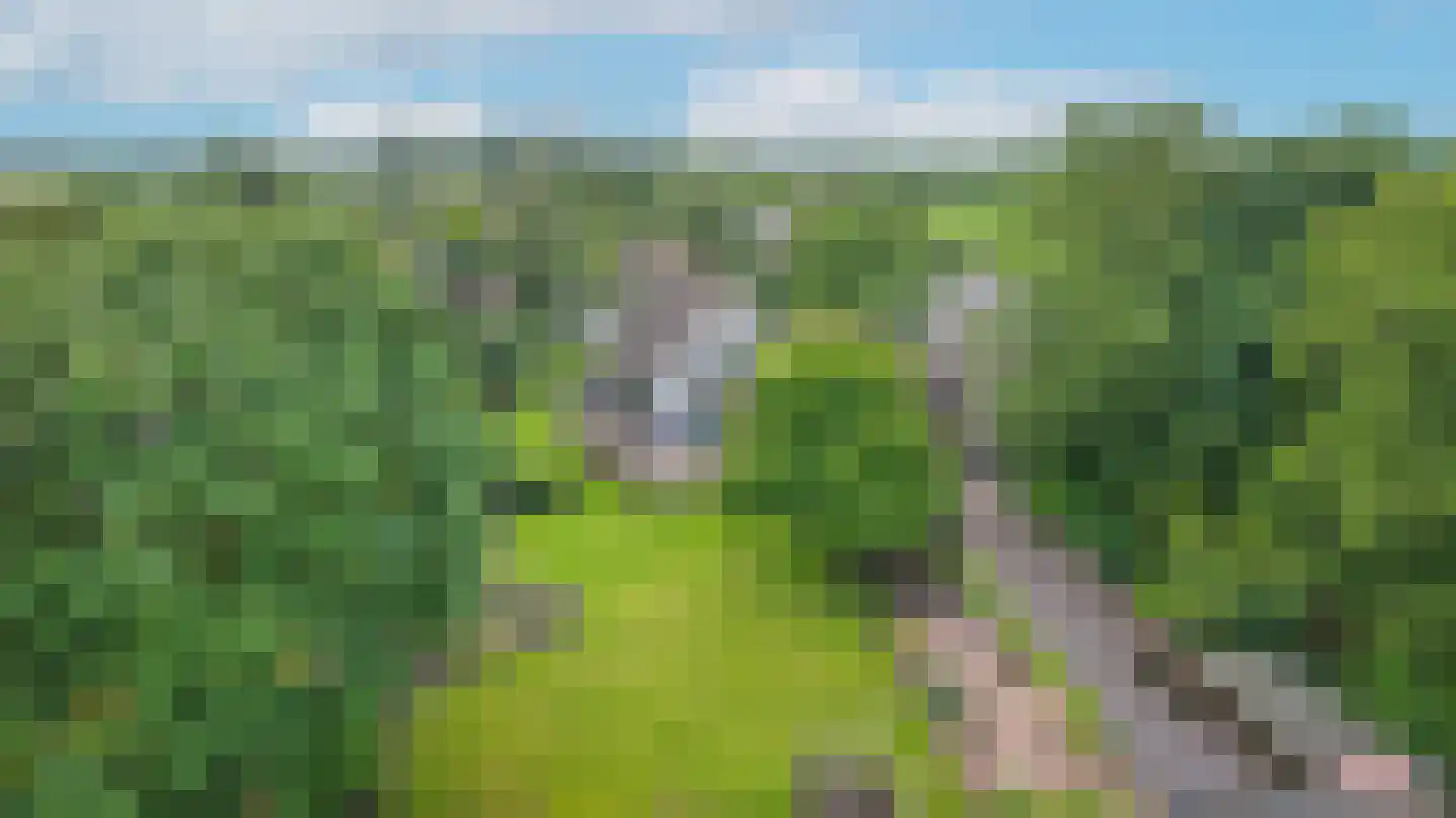 Kooimolenweg 21 Dreumel thumbnail 77