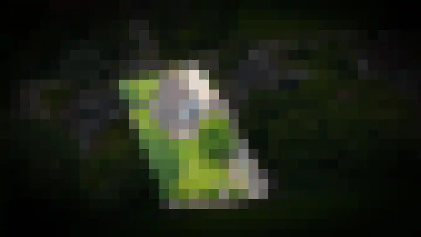 Kooimolenweg 21 Dreumel thumbnail 78