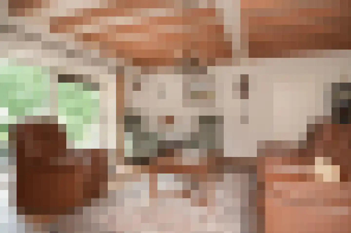 Kooimolenweg 21 Dreumel thumbnail 9