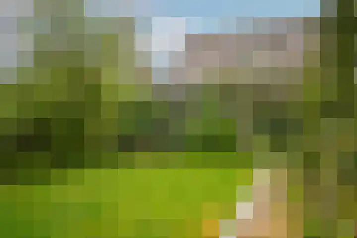 Kooimolenweg 3 Dreumel thumbnail 10