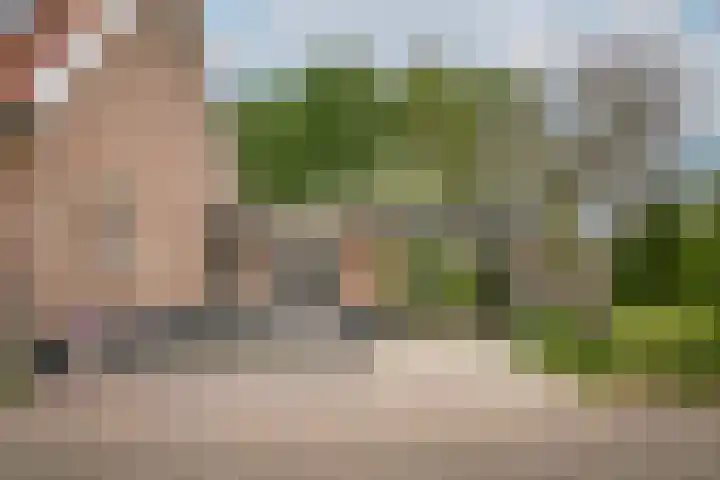 Kooimolenweg 3 Dreumel thumbnail 11