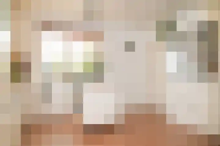 Kooimolenweg 3 Dreumel thumbnail 14