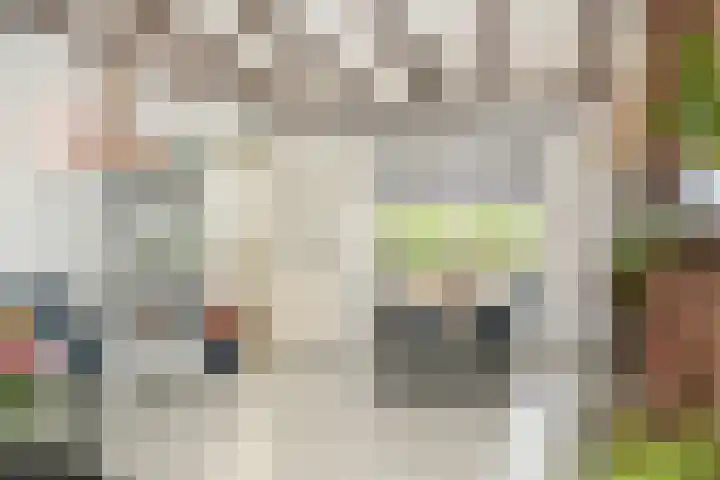 Kooimolenweg 3 Dreumel thumbnail 15