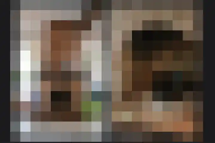 Kooimolenweg 3 Dreumel thumbnail 17