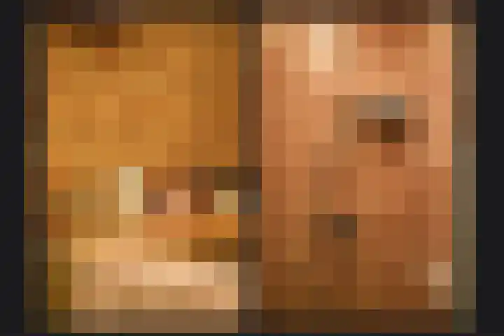 Kooimolenweg 3 Dreumel thumbnail 22