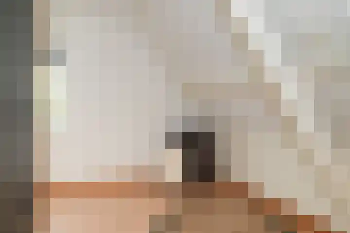 Kooimolenweg 3 Dreumel thumbnail 30
