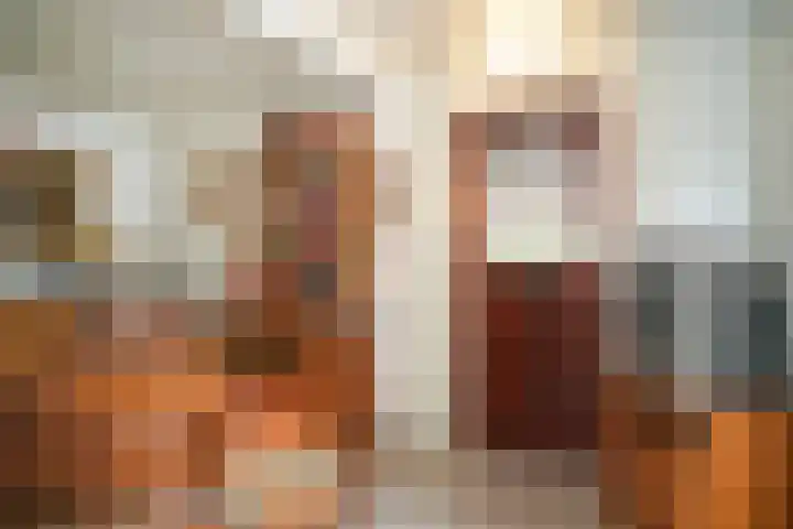 Kooimolenweg 3 Dreumel thumbnail 34