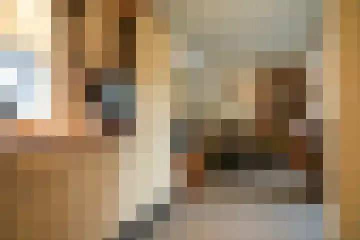 Kooimolenweg 3 Dreumel thumbnail 36