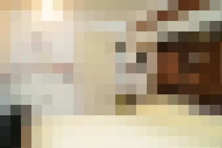 Kooimolenweg 3 Dreumel thumbnail 38