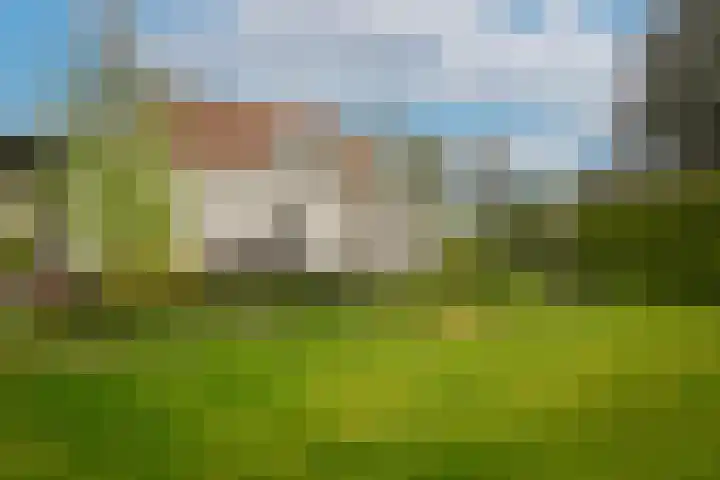 Kooimolenweg 3 Dreumel thumbnail 42