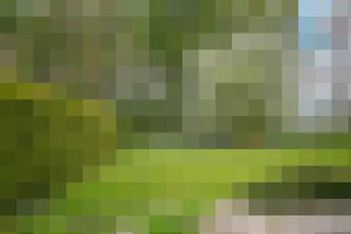 Kooimolenweg 3 Dreumel thumbnail 44
