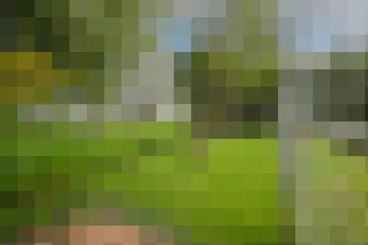Kooimolenweg 3 Dreumel thumbnail 45
