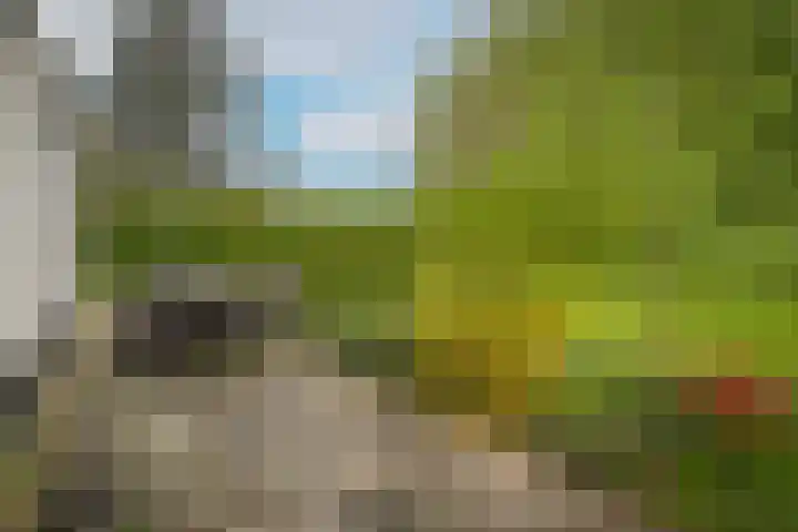 Kooimolenweg 3 Dreumel thumbnail 46