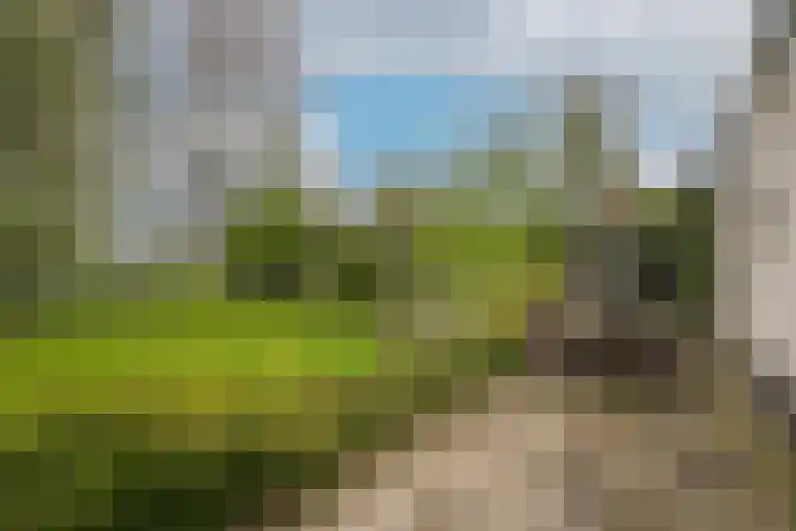 Kooimolenweg 3 Dreumel thumbnail 47