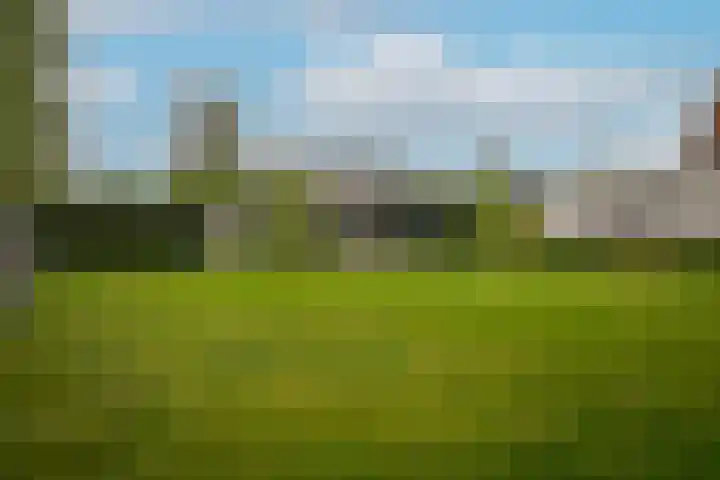 Kooimolenweg 3 Dreumel thumbnail 48