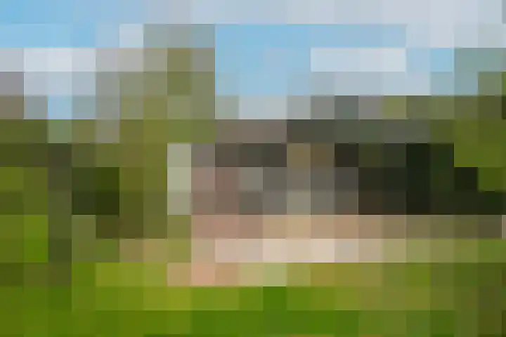 Kooimolenweg 3 Dreumel thumbnail 49