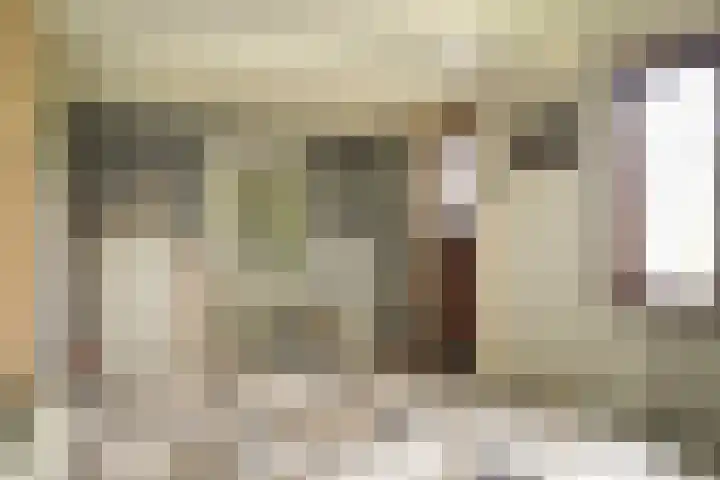 Kooimolenweg 3 Dreumel thumbnail 51