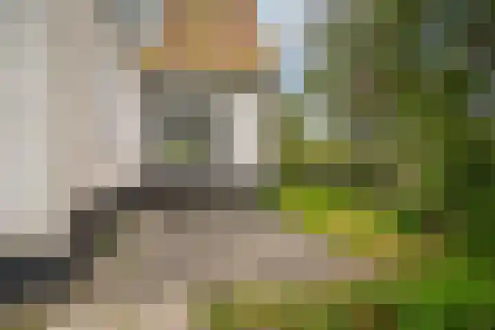 Kooimolenweg 3 Dreumel thumbnail 52
