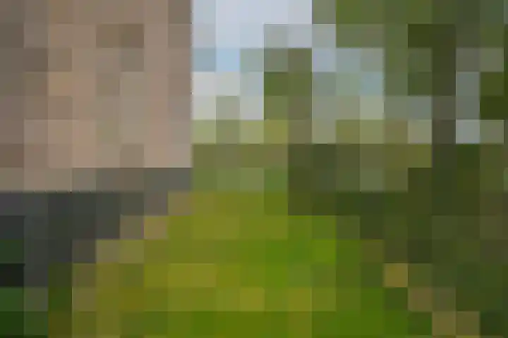 Kooimolenweg 3 Dreumel thumbnail 53