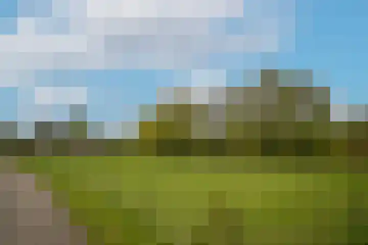 Kooimolenweg 3 Dreumel thumbnail 55