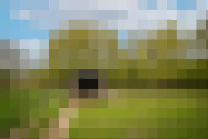 Kooimolenweg 3 Dreumel thumbnail 56