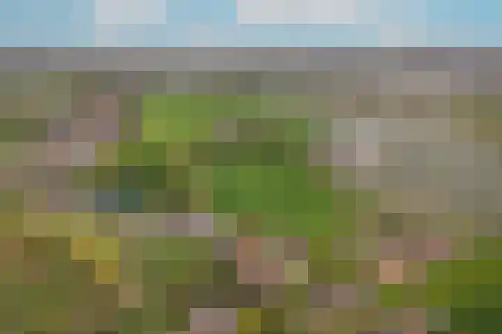 Kooimolenweg 3 Dreumel thumbnail 57