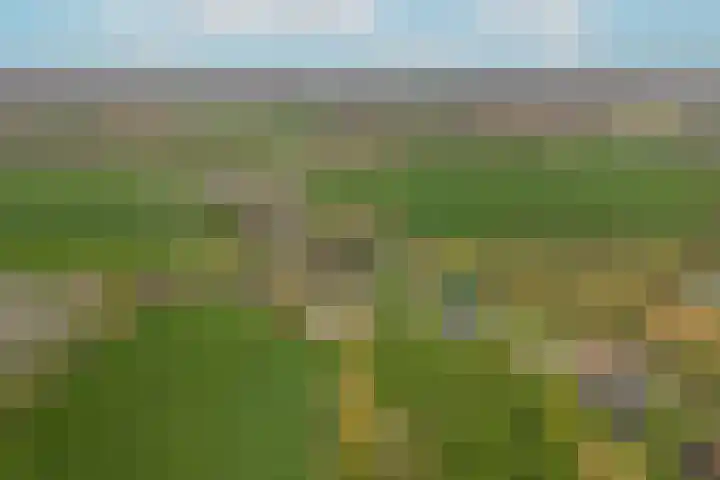 Kooimolenweg 3 Dreumel thumbnail 59