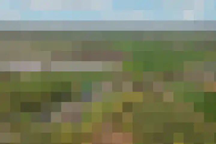 Kooimolenweg 3 Dreumel thumbnail 60