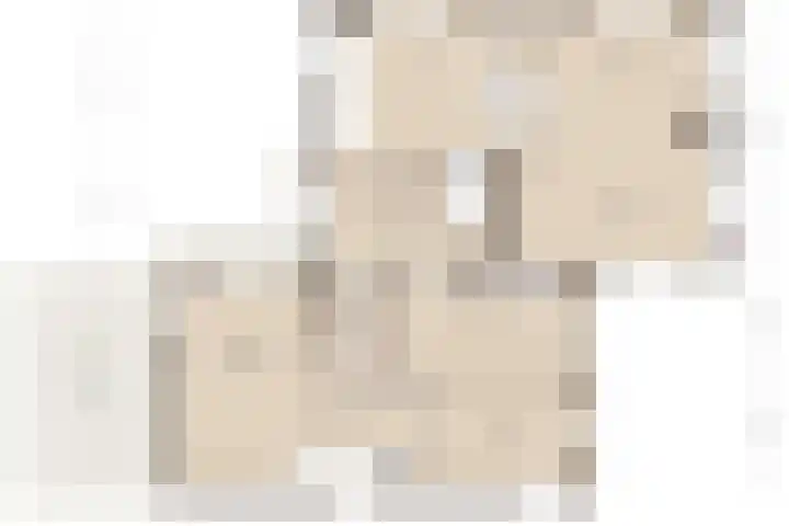 Kooimolenweg 3 Dreumel thumbnail 61