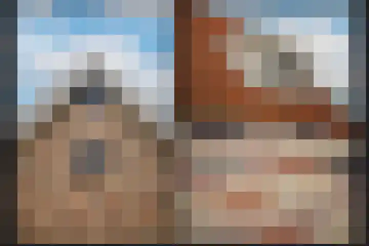 Kooimolenweg 3 Dreumel thumbnail 8