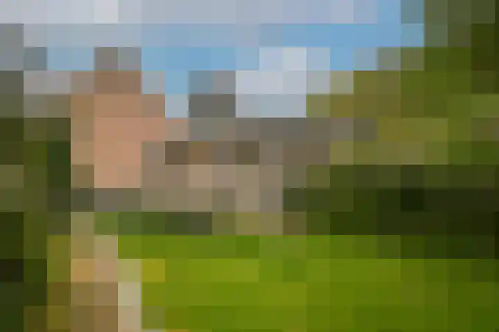 Kooimolenweg 3 Dreumel thumbnail 9