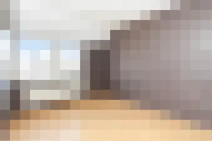 Kooipad 19 Streefkerk thumbnail 12