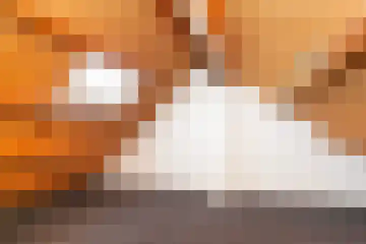 Kooipad 19 Streefkerk thumbnail 22
