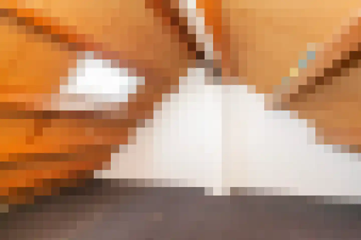 Kooipad 19 Streefkerk thumbnail 22