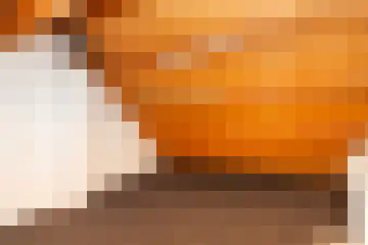 Kooipad 19 Streefkerk thumbnail 23