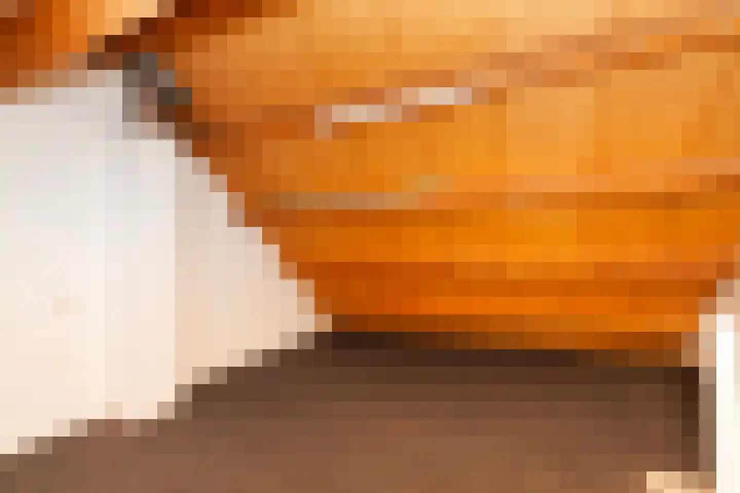 Kooipad 19 Streefkerk thumbnail 23