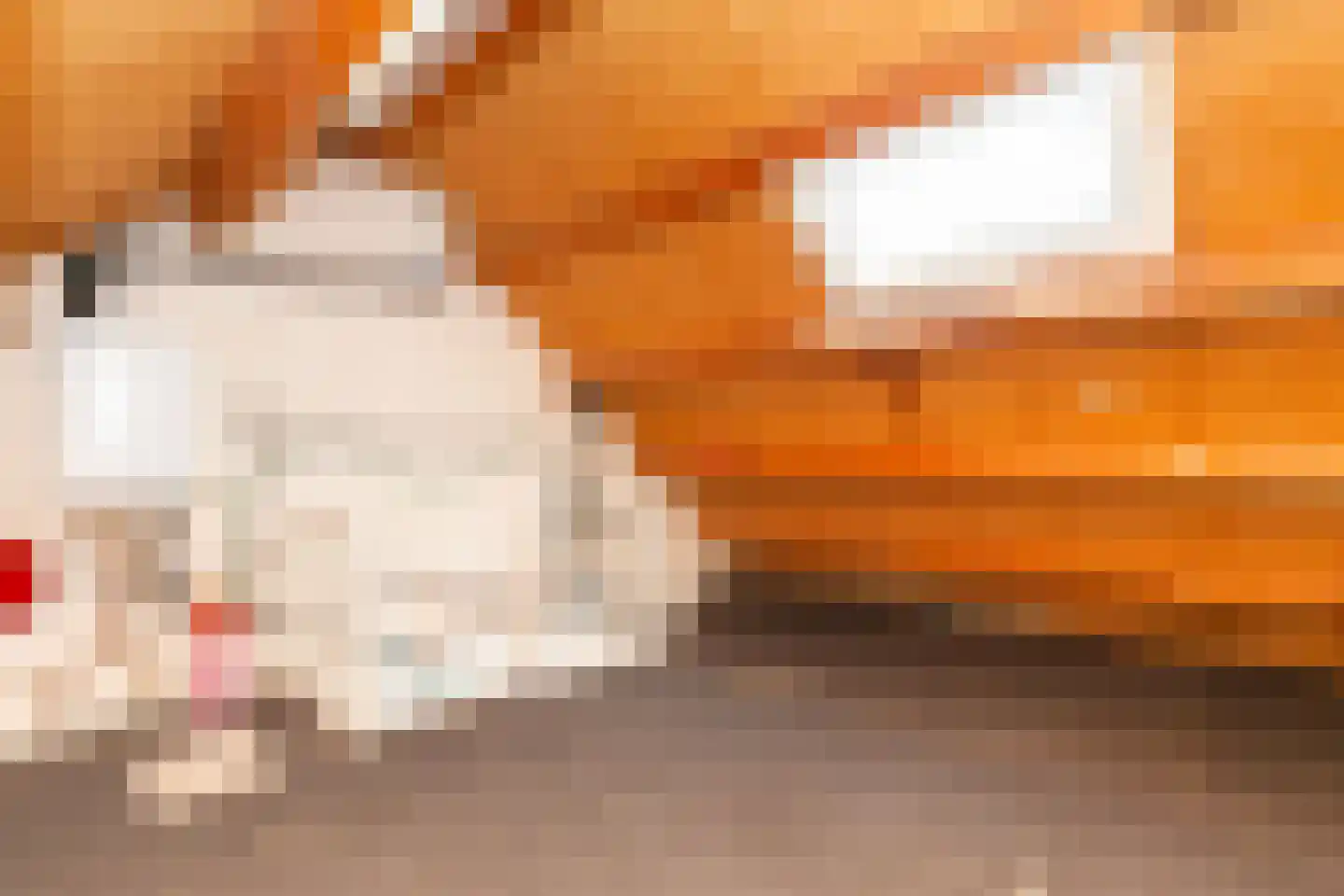 Kooipad 19 Streefkerk thumbnail 24